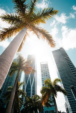 Miami city view
